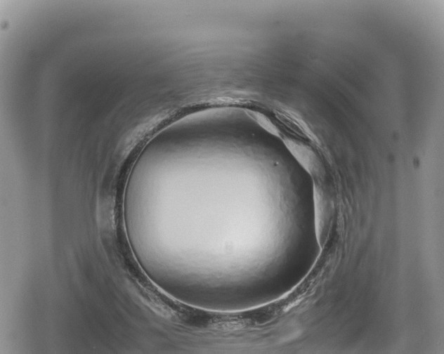 X0000080710299200612221149