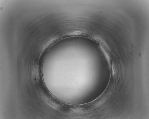 X0000080710300200612221149