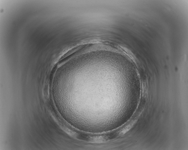 X0000080710301200612221149