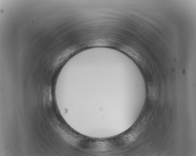 X0000080710302200612221149