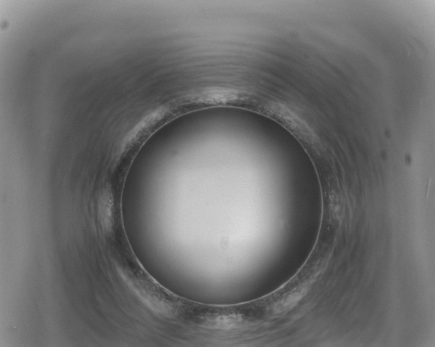 X0000080710304200612221149