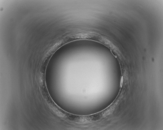 X0000080710305200612221149