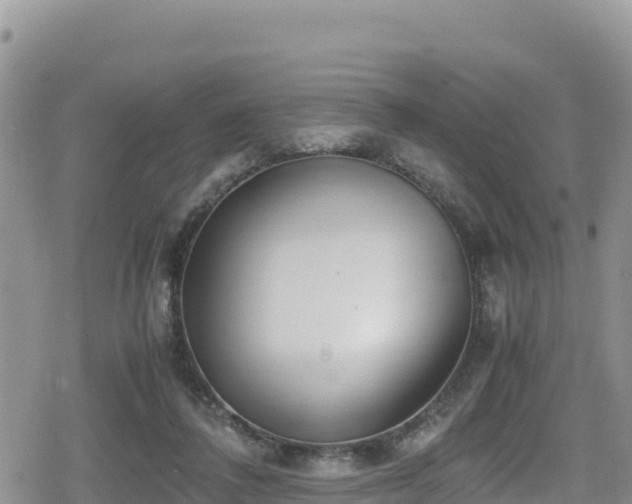 X0000080710308200612221149