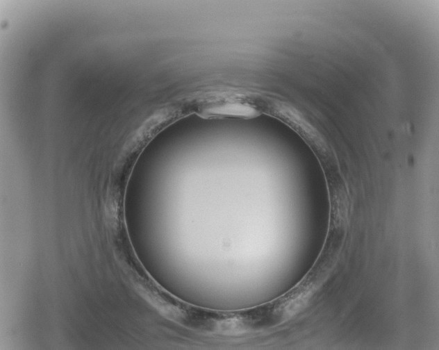 X0000080710309200612221149