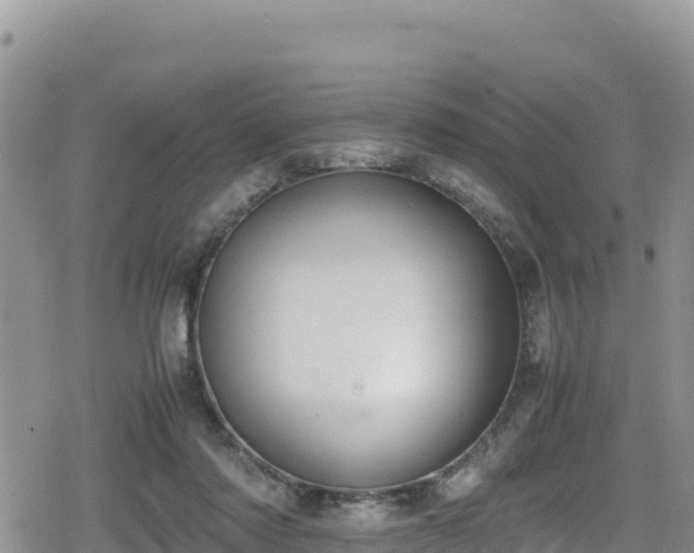 X0000080710310200612221149