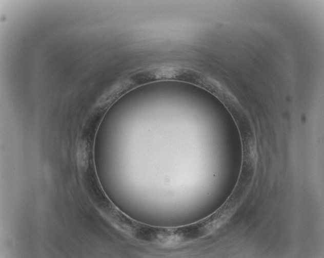 X0000080710311200612221149