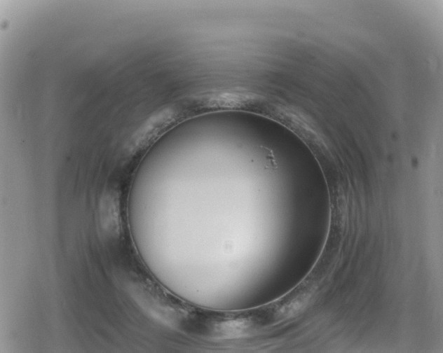 X0000080710312200612221149