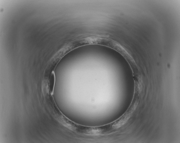 X0000080710313200612221149