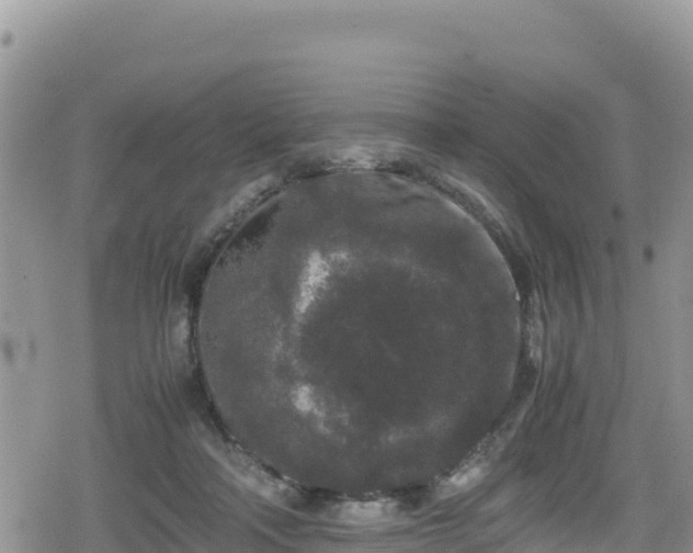 X0000080710314200612221149