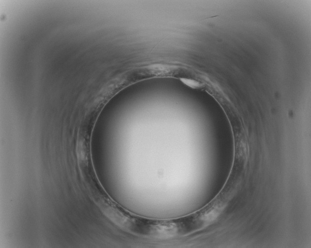 X0000080710317200612221149