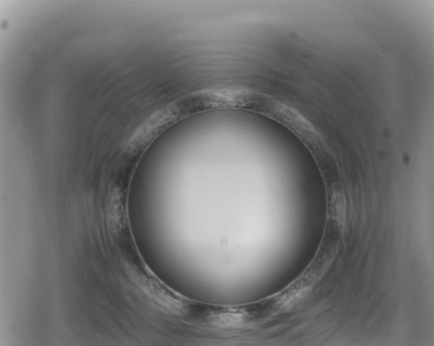 X0000080710318200612221149