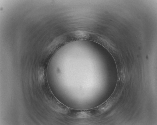 X0000080710320200612221149