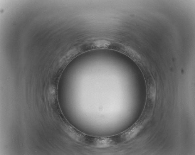 X0000080710321200612221149