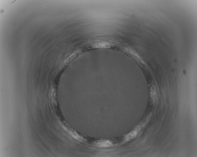 X0000080710322200612221149