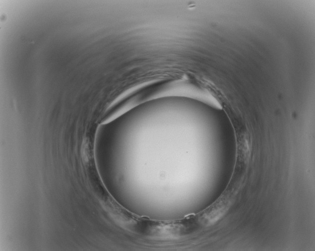 X0000080710323200612221149