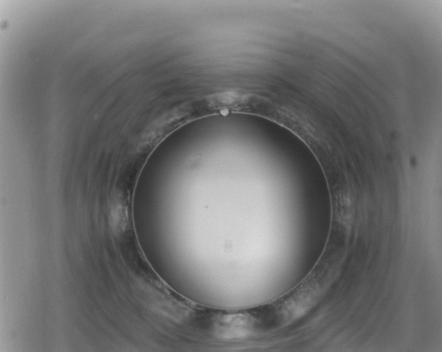 X0000080710324200612221149