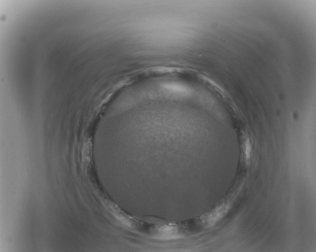 X0000080710325200612221149