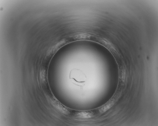 X0000080710326200612221149