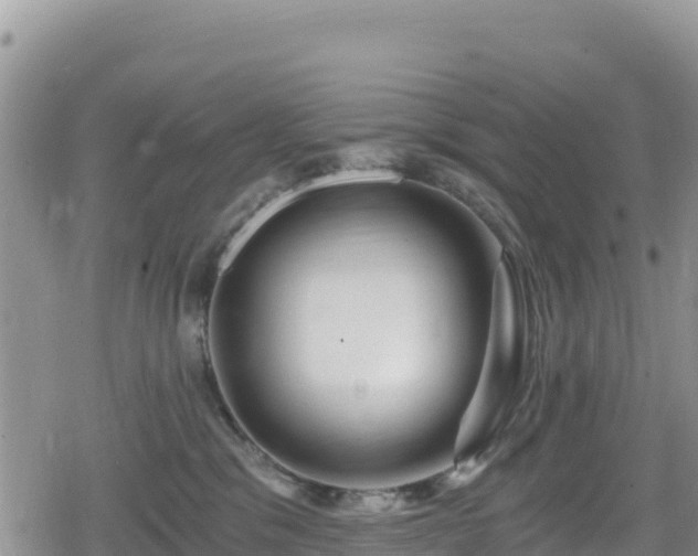 X0000080710329200612221149