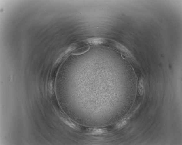 X0000080710330200612221149