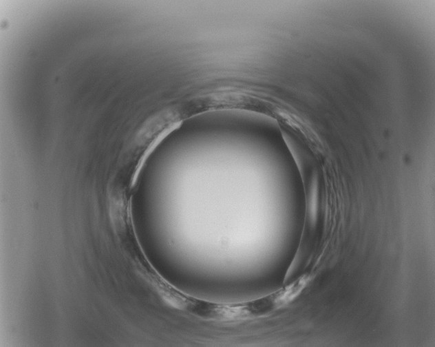 X0000080710333200612221149