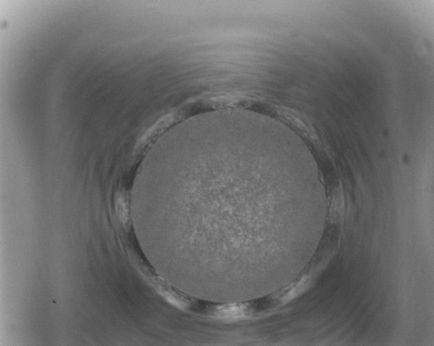 X0000080710335200612221149