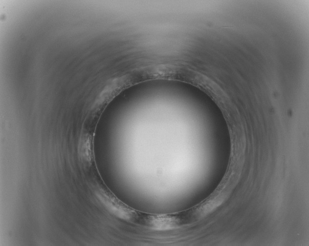 X0000080710336200612221149