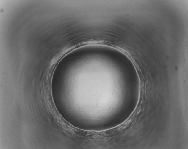 X0000080710337200612221148