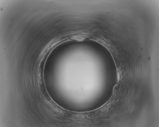 X0000080710339200612221148