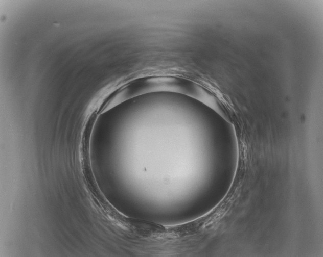 X0000080710340200612221148