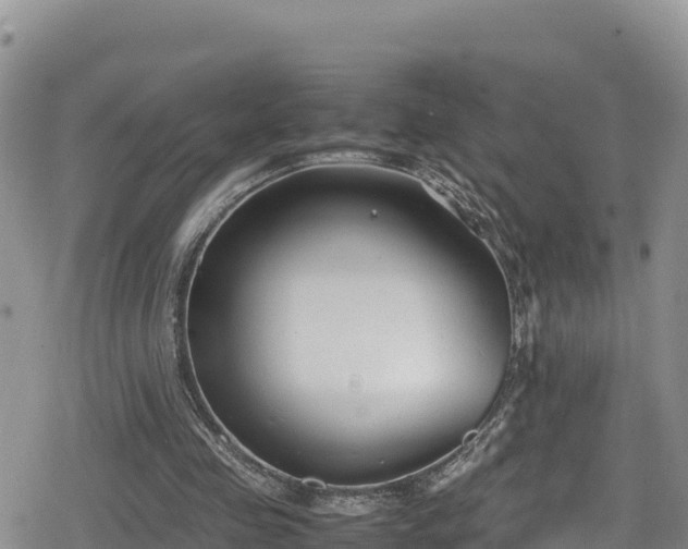 X0000080710341200612221148