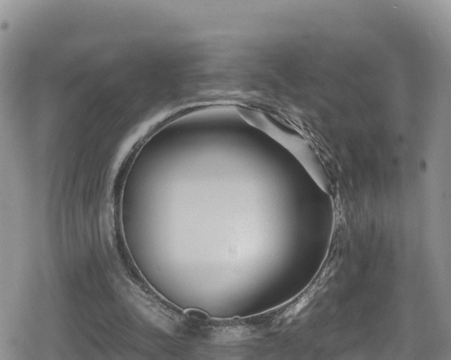 X0000080710342200612221148