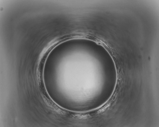 X0000080710343200612221148