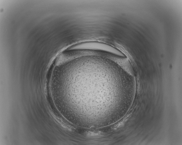 X0000080710346200612221148