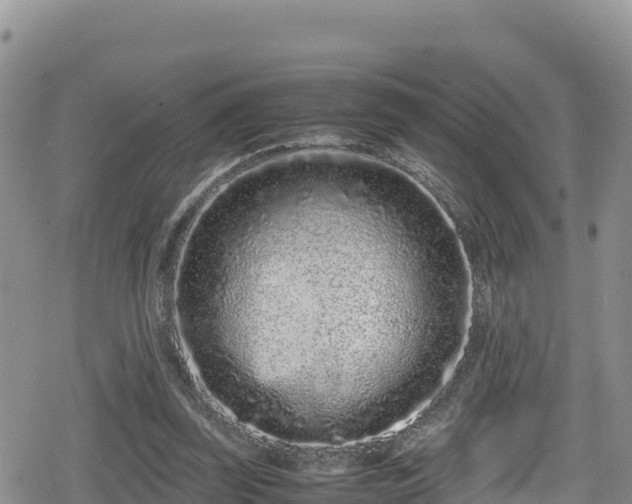 X0000080710347200612221148