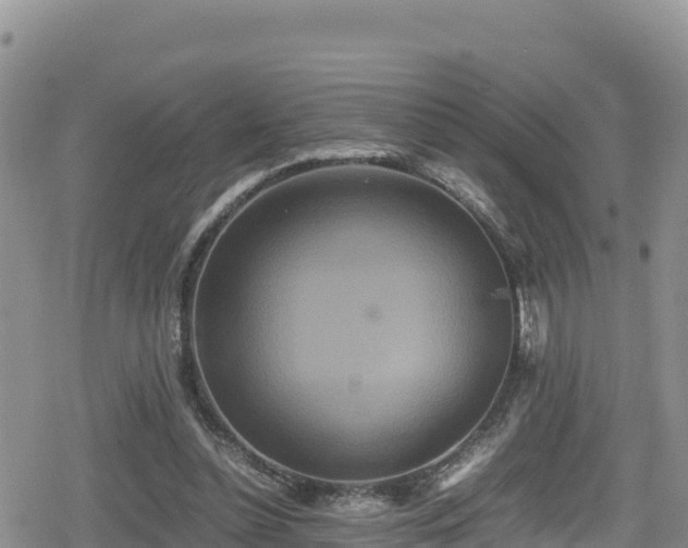 X0000080710348200612221148