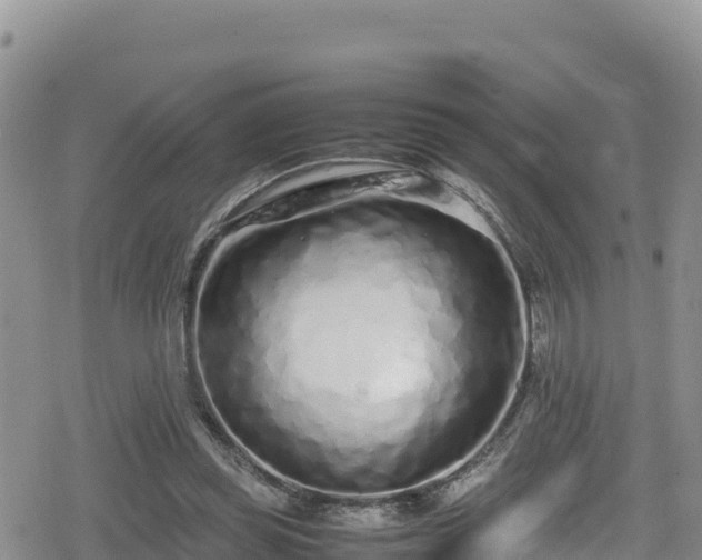 X0000080710349200612221148