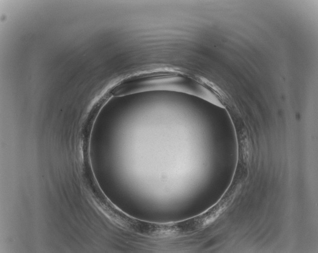 X0000080710350200612221148