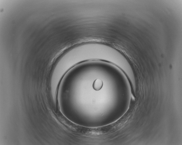 X0000080710352200612221148