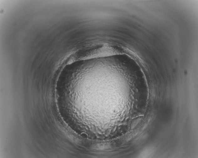 X0000080710353200612221148