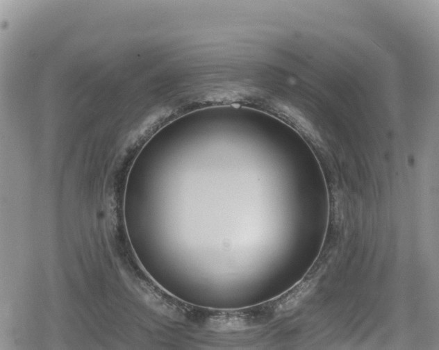 X0000080710354200612221148