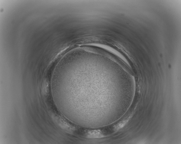 X0000080710355200612221148