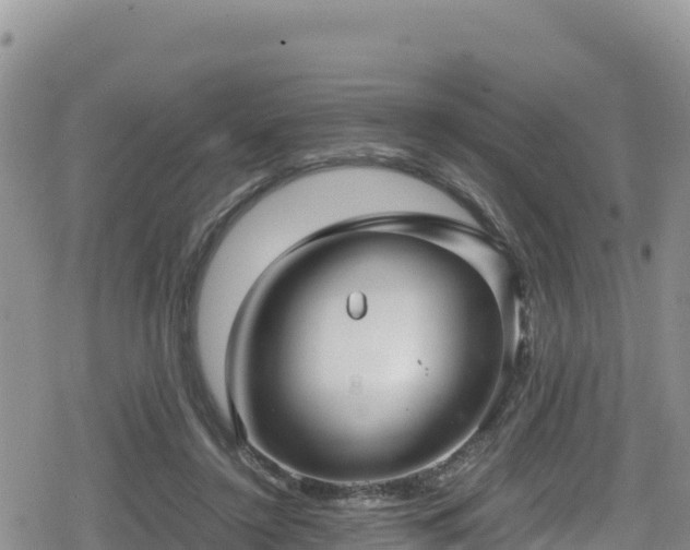 X0000080710356200612221148