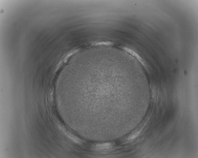 X0000080710357200612221148