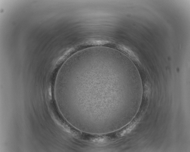 X0000080710358200612221148