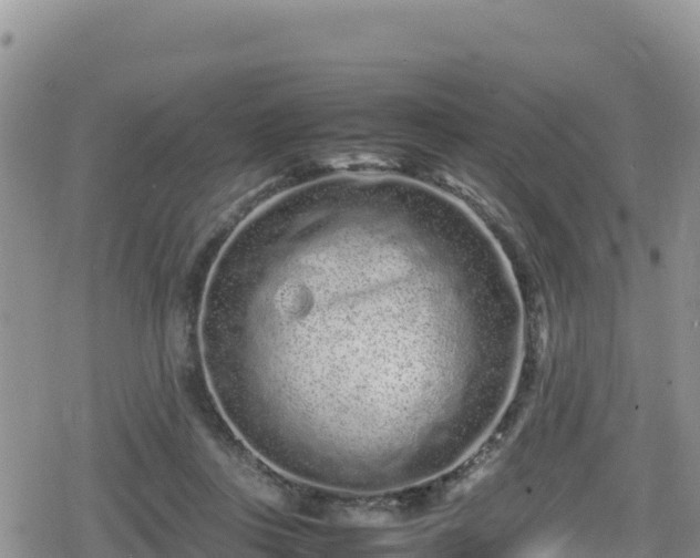 X0000080710359200612221148