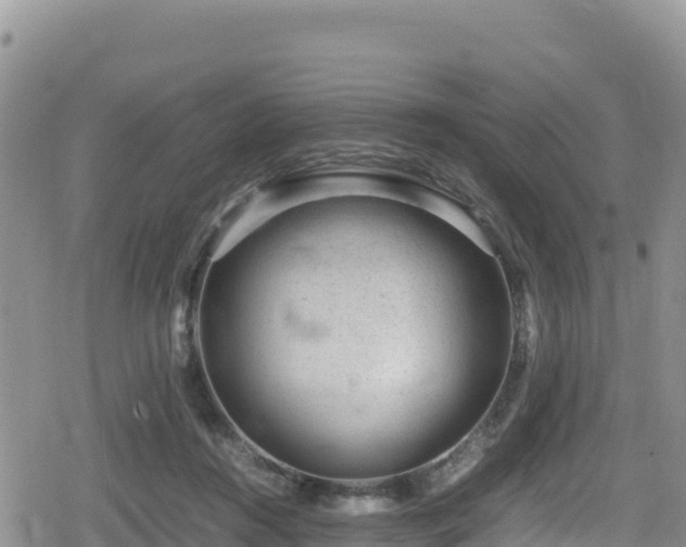 X0000080710360200612221148