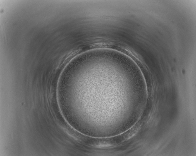 X0000080710361200612221148