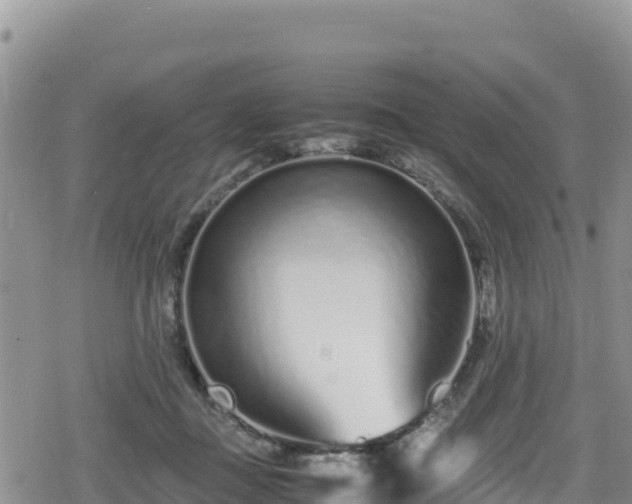 X0000080710363200612221148