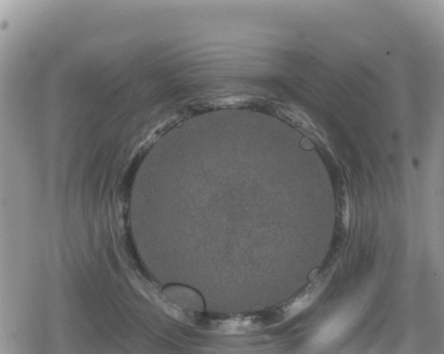 X0000080710366200612221148